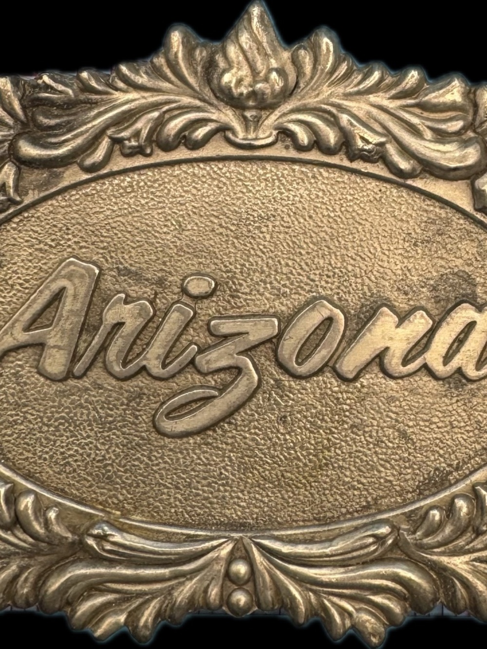 Captain Hawks Sky Patrol Arizona Belt Buckle Vintage 1977
